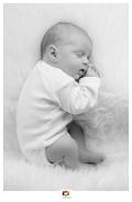 Babyfotografie Neugeborenes Shooting Fotos Babys Hamburg Lüneburg Winsen