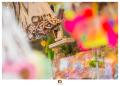 Das war das Stadtfest Winsen 2015! Das war das Stadtfest Winsen 2015!
