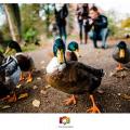 Fotokurs Lüneburg Winsen Hamburg Einsteiger Grundlagen Fotografieren Fotografie