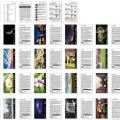 Fotokarten Fotorezepte Kameraeinstellungen – Fotografie Spickzettel &  Checkkarte für beliebte Fotomomente