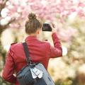 Lernkarten Fotografie Spickzettel Grundlagen Einsteiger Hobbyfotografen