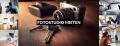 Fotostudio mieten Fotostudio mieten