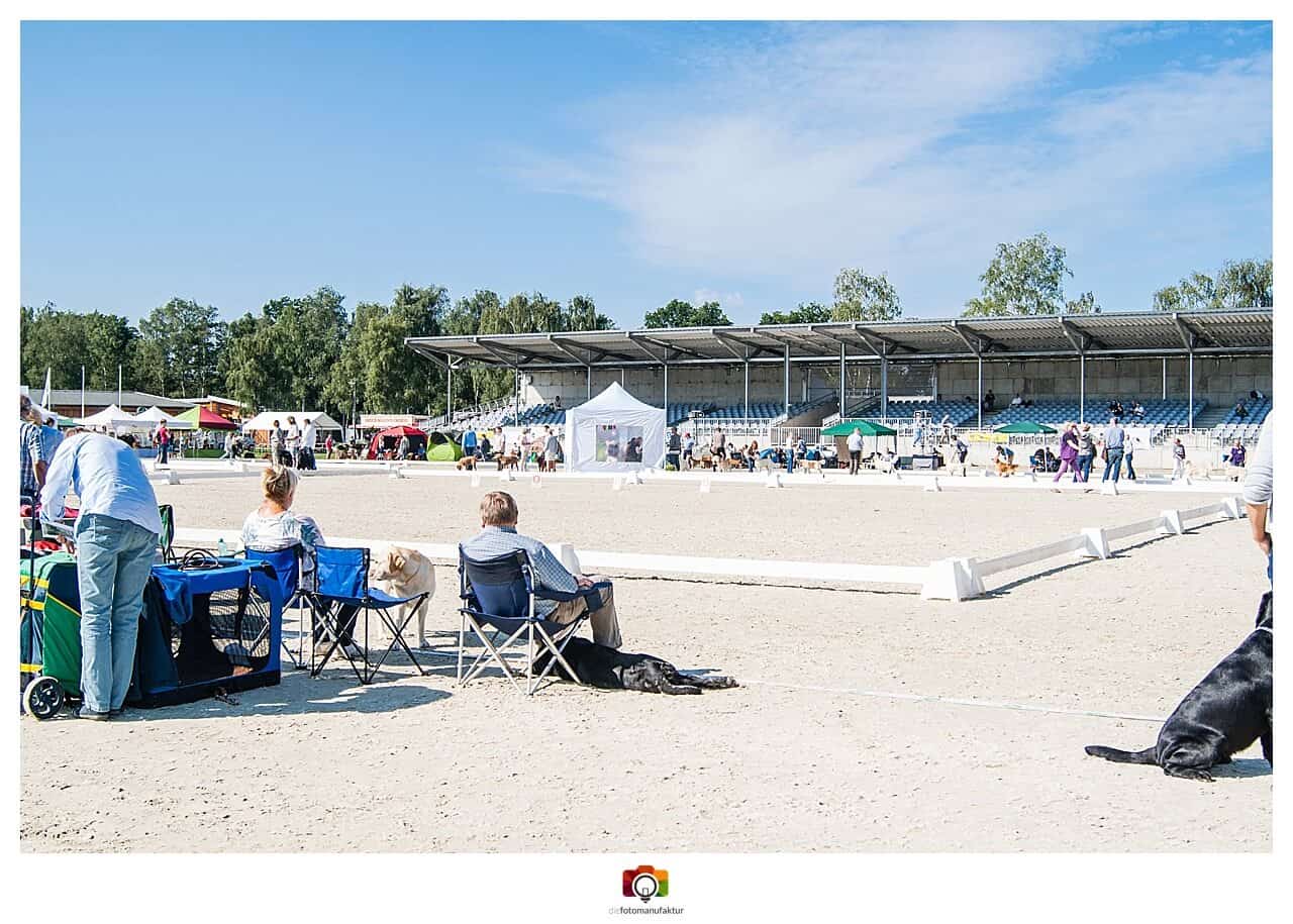 DRC Clubschau 2015