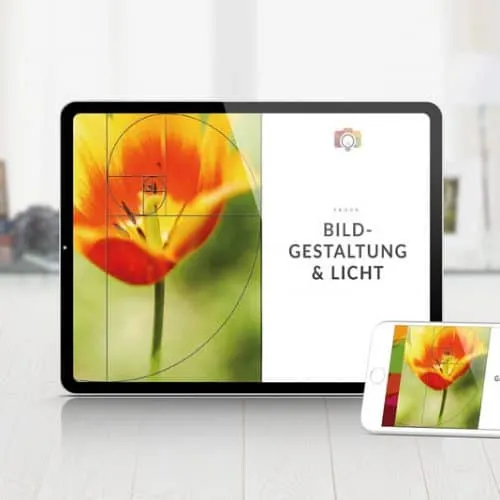 Grundlagen Bildgestaltung / Bildkomposition / Lichtsituationen in der Fotografie