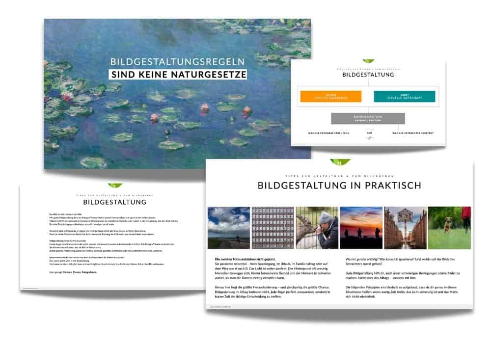 Fotografie-Workshop: Grundlagen der Bildgestaltung, Komposition und Lichtsituationen.