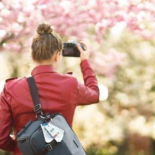 Lernkarten Fotografie Spickzettel Grundlagen Einsteiger Hobbyfotografen