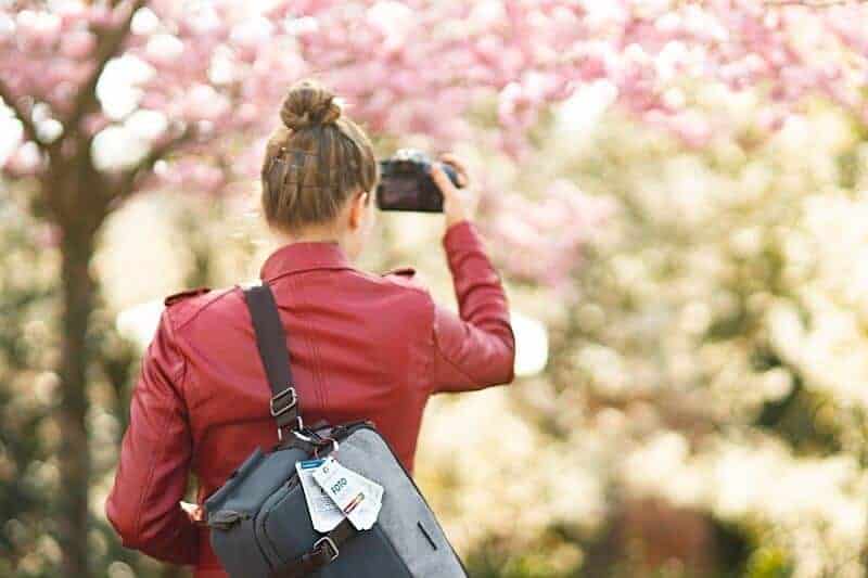 Lernkarten Fotografie Spickzettel Grundlagen Einsteiger Hobbyfotografen