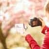 Lernkarten Fotografie Spickzettel Grundlagen Einsteiger Hobbyfotografen