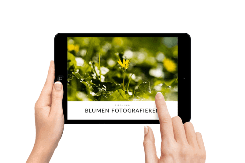 EBOOKS FOTOGRAFIE
