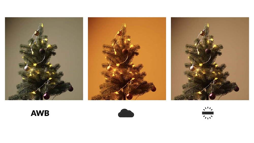 Kameraeinstellungen: Selbes Motiv, selbes Licht, selbe Einstellungen aber anderer WEISSABGLEICH