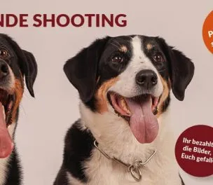 Fotoaktion: Hunde-Shooting kostenlos! – Unsere Praktikantin will Praxis!