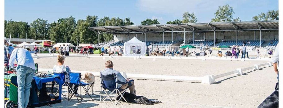 DRC Clubschau 2015