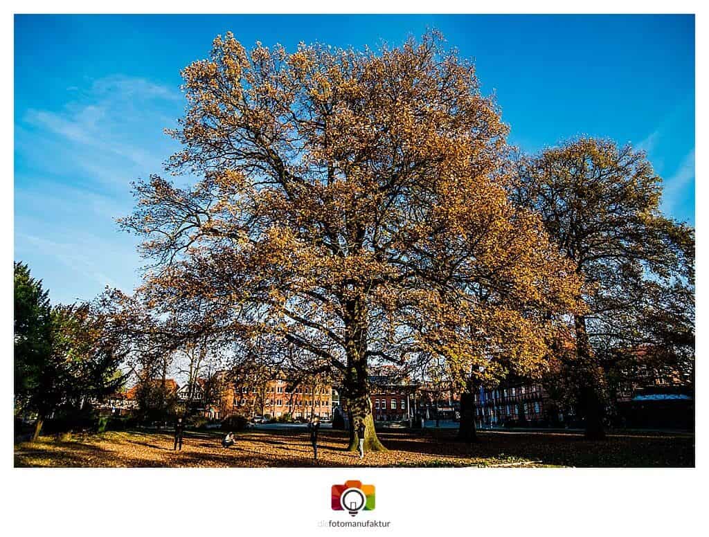 Fotokurse Grundlagen Fotografie