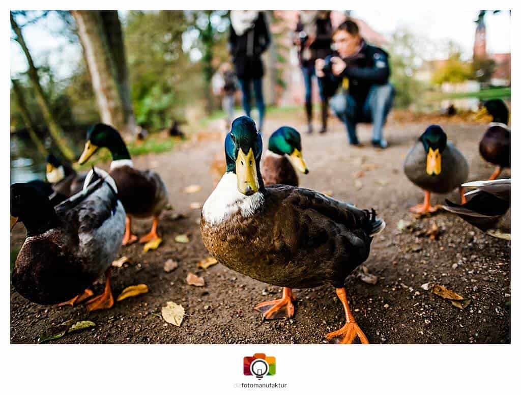 Fotokurse Grundlagen Fotografie